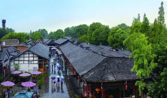 探索问答之旅,尽在别人说你高贵大气你怎么回复?